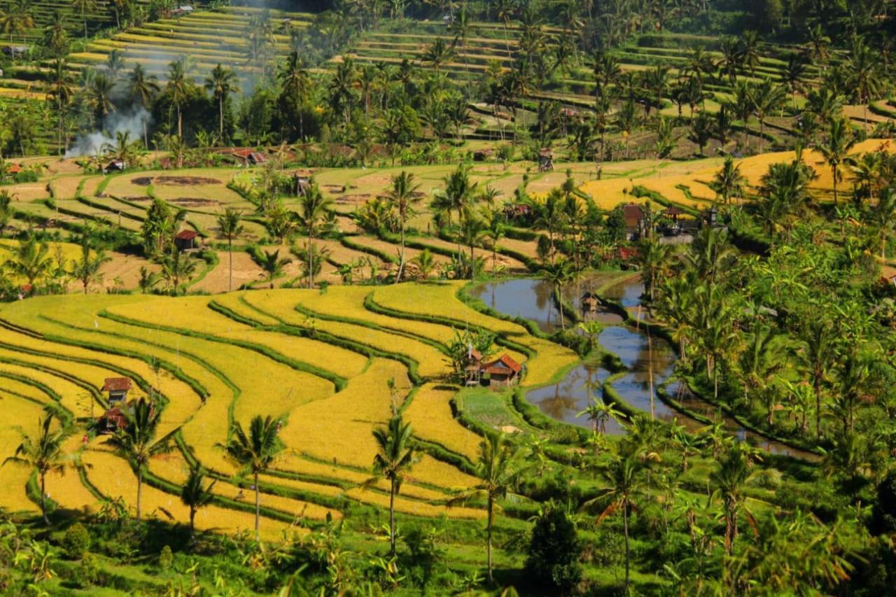 Bali Munduk Delux Bungalow Villa Singaraja Eksteriør bilde