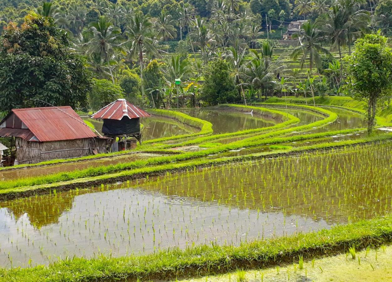 Bali Munduk Delux Bungalow Villa Singaraja Eksteriør bilde