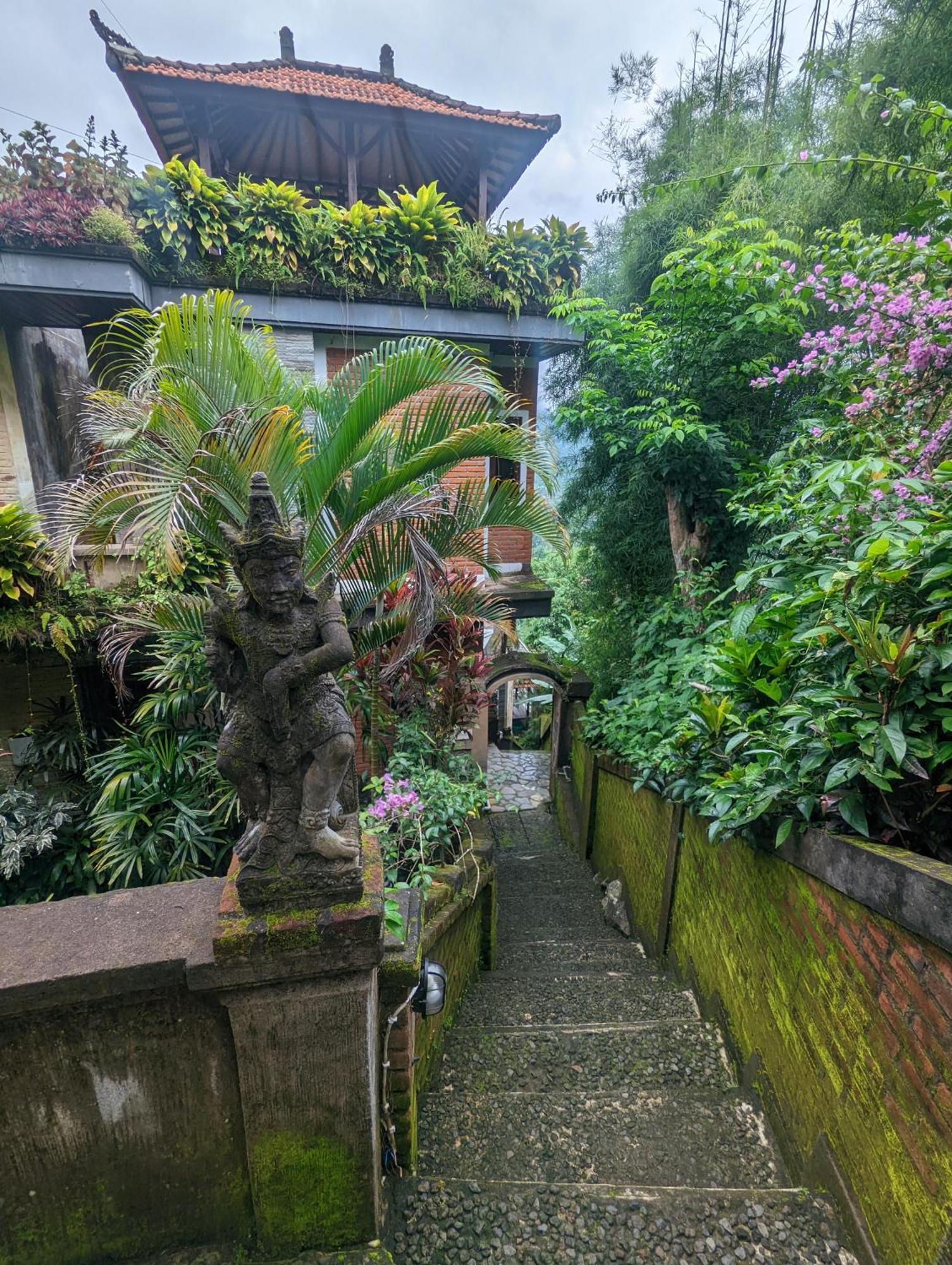 Bali Munduk Delux Bungalow Villa Singaraja Eksteriør bilde