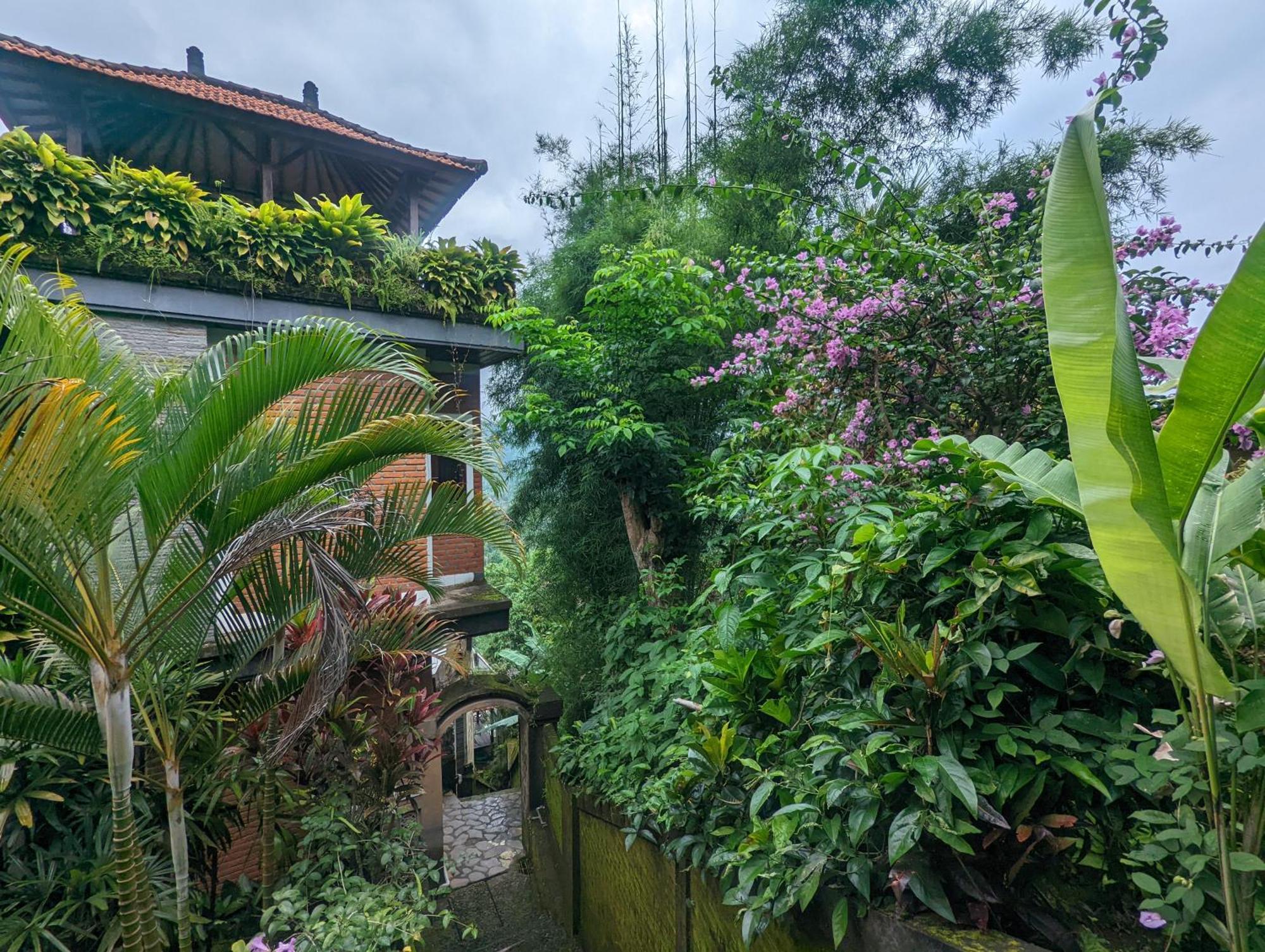 Bali Munduk Delux Bungalow Villa Singaraja Eksteriør bilde