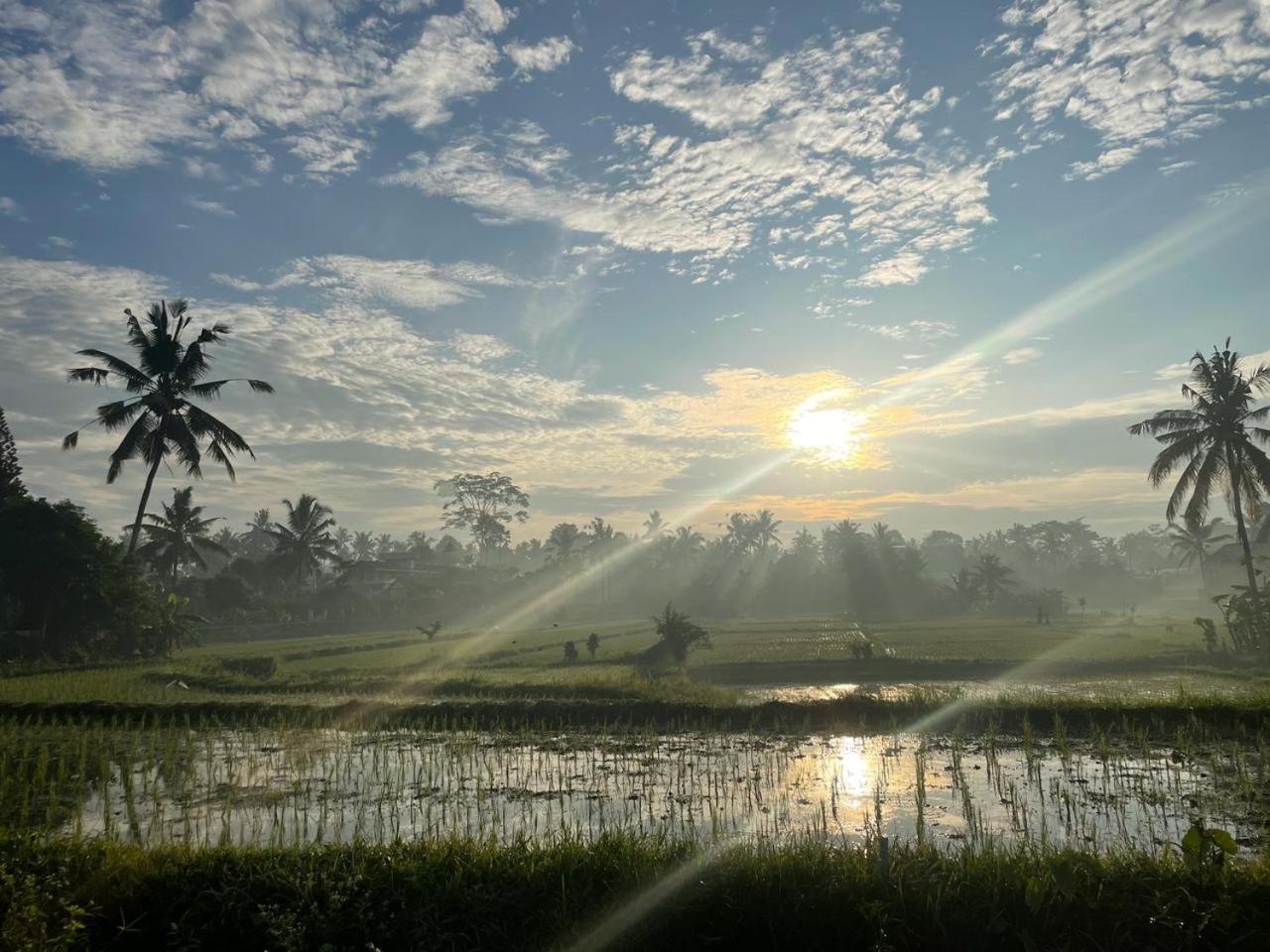Bali Munduk Delux Bungalow Villa Singaraja Eksteriør bilde